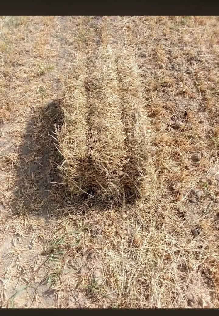 AWESOME A70 • مكتوب بالصورة