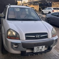 توسان • ٢٠٠٩ • بدون صبغ