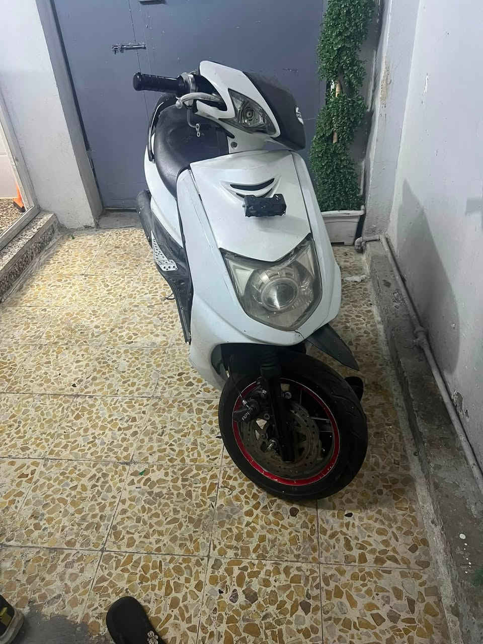 سكنس نثيه كوم حديد طافيه مكطوع زنجيل
كهربائيات شغاله تايرات جدد بيه تزويد حلوه 
عنوان بغداد طالبيه قرب فلكه 83
سعر 300بيه مجال***********
