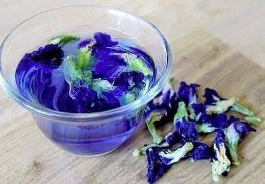 متاح لدينا بذورها بذور نبات ورد متسلق الشاي الأزرق لطلب والحجز واتساب ***********
السماوه أو مراسلة الصفحه يوجد خدمة توصيل طلبات داخل السماوه ولكافة المحافظات لباب البيت أنواع البذور الاستوائية النادره
