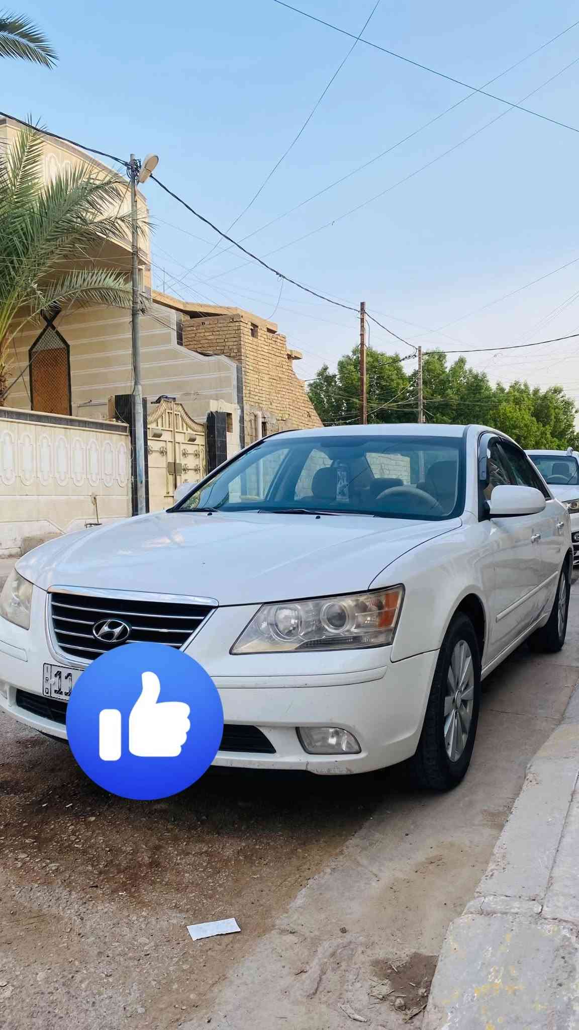 سوناتا • ٢٠٠٩ • ضرر خلفي