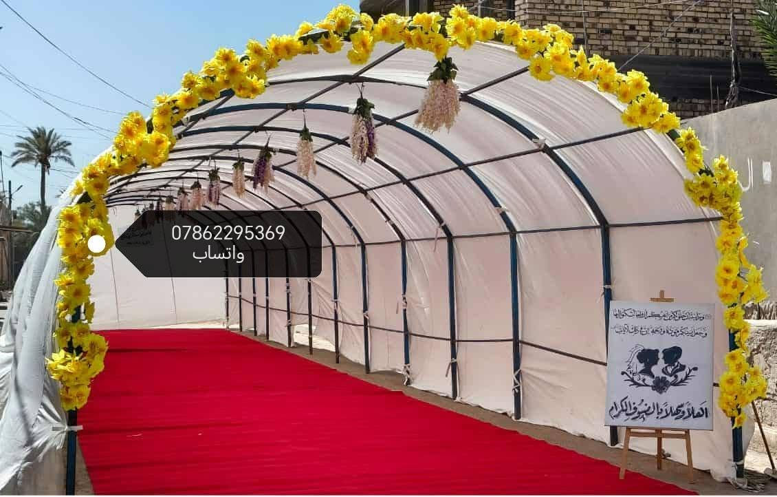 فخامة تستحقونها في ليلة العمر.. 💎🤵👰
ممرات استقبال ملكية، ورود فاخرة، وكراسي أنيقة (مثل الصور المرفقة تماماً).
✅ نضمن لكم جودة التنفيذ واحترافية التنسيق ليليق بمناسبتكم السعيدة.
​احجزوا الآن ولا تفوتوا الفرصة!
📲 واتساب/اتصال: [ *********** ]

#تنسيق_حفلات #زواجات #أفراح #كراسي_فندقية #كوش_افراح
#طلبك_يمي
