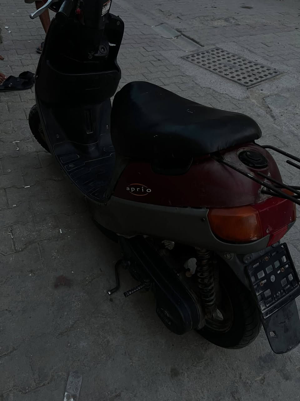 بطة • ماروني • شاصي مكفول
