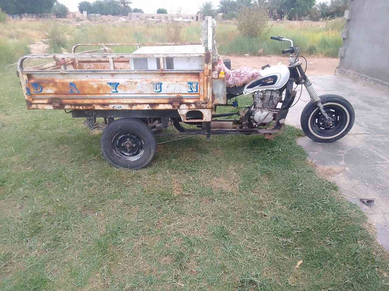 ستوته • ٢٠١٣ • اوراق