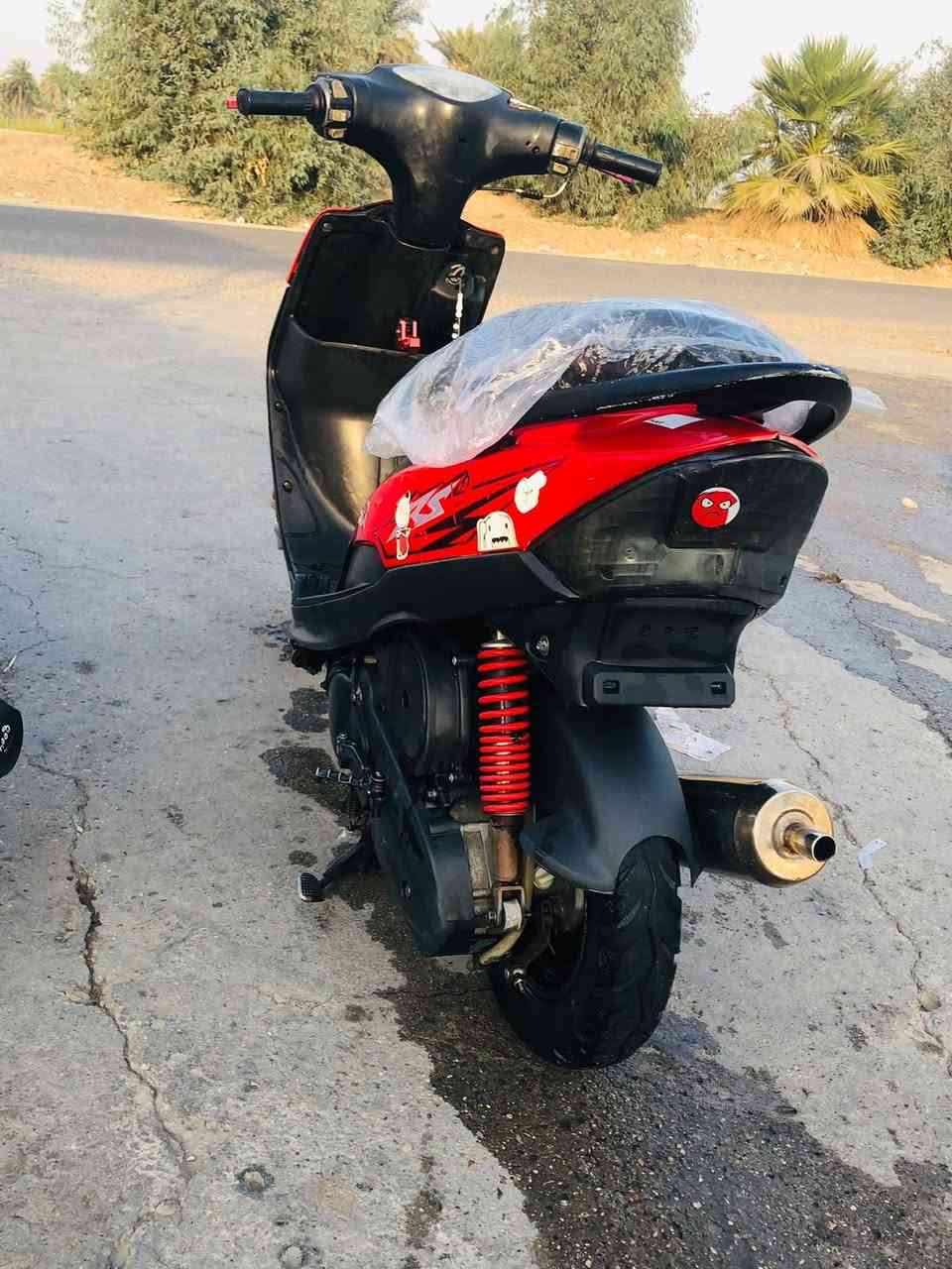 ماكس عدلة