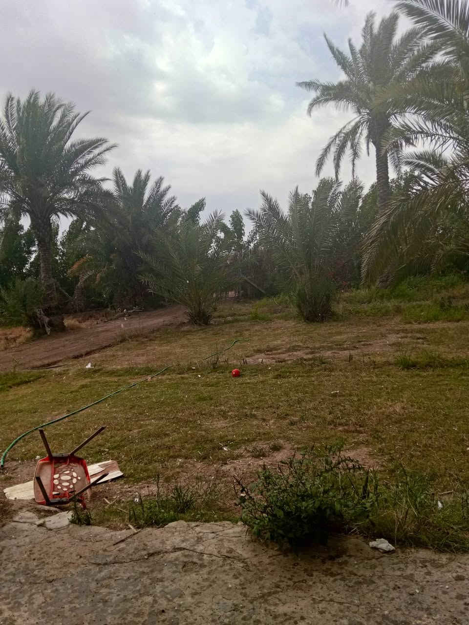 مزرعه مساحته دونم ونص المكان النعمانيه الكراده 
جنس الارض 117 
الاستفسار ‏‪***********‬‏
