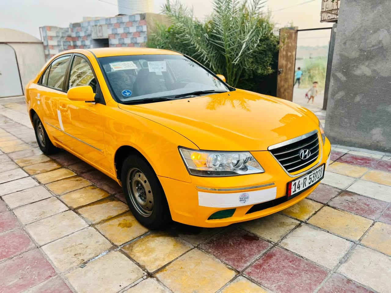 سوناته المقدس • ٢٠١٠ • رقم بصره