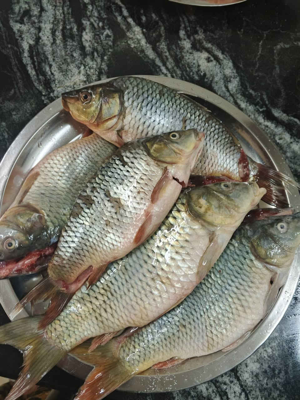 عرووووض
كيلو ب4500 سمك كاريبي تازه شرط يوصل يلببط 
‏***********
