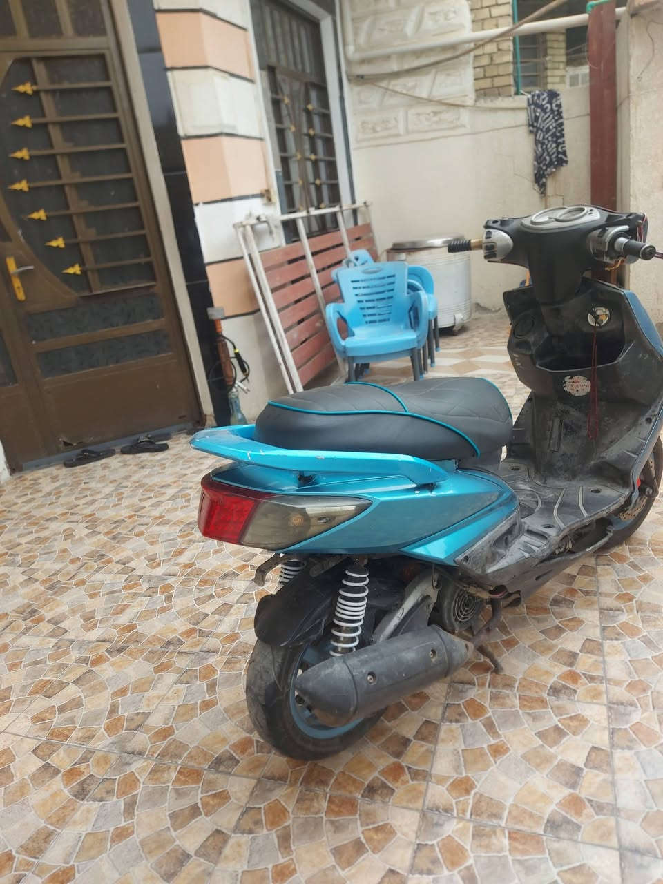 سكنس • فحل • بوشه ٥٨