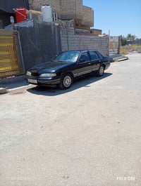ابرنص • بابل • صبغ جماليه