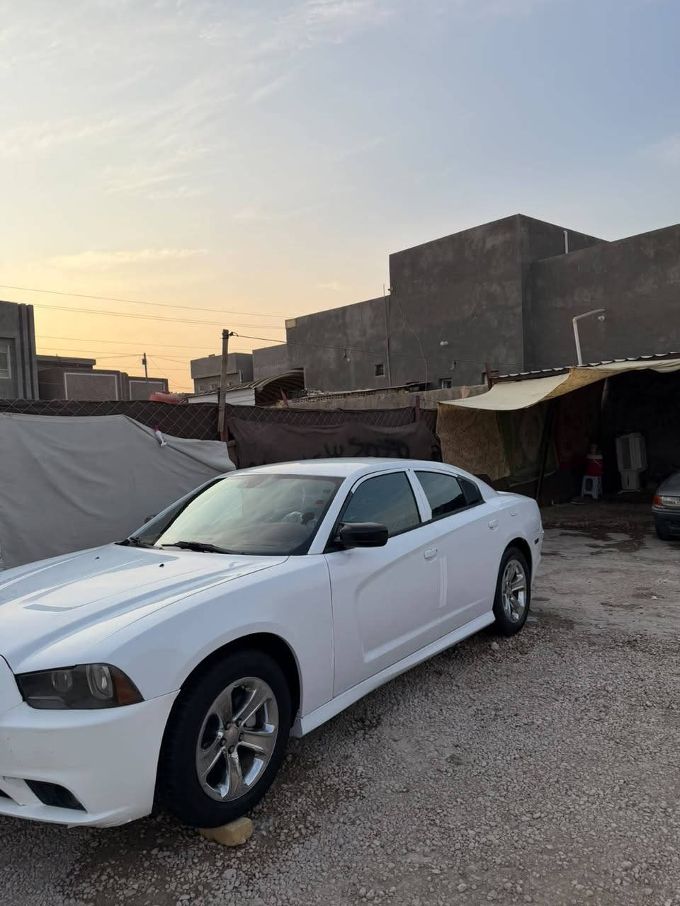 السلام عليكم جارجر 14 للبيع
مكينته 6 سلندر 3600 🤞
 
غرفه جديده بلايلون 👌

تبريد انجماد 🥶

كير طياره فوول  😜

كير جديده 👍

اكسل جديد 👍

باتري توني شاده 90 امبير 💪

كصته جنطه باقي كفاله 
السعر 52 وبيه مجال بسيط 

شرط ترايك 《220》
***********
