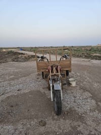ستوته • 2019 • كفاله