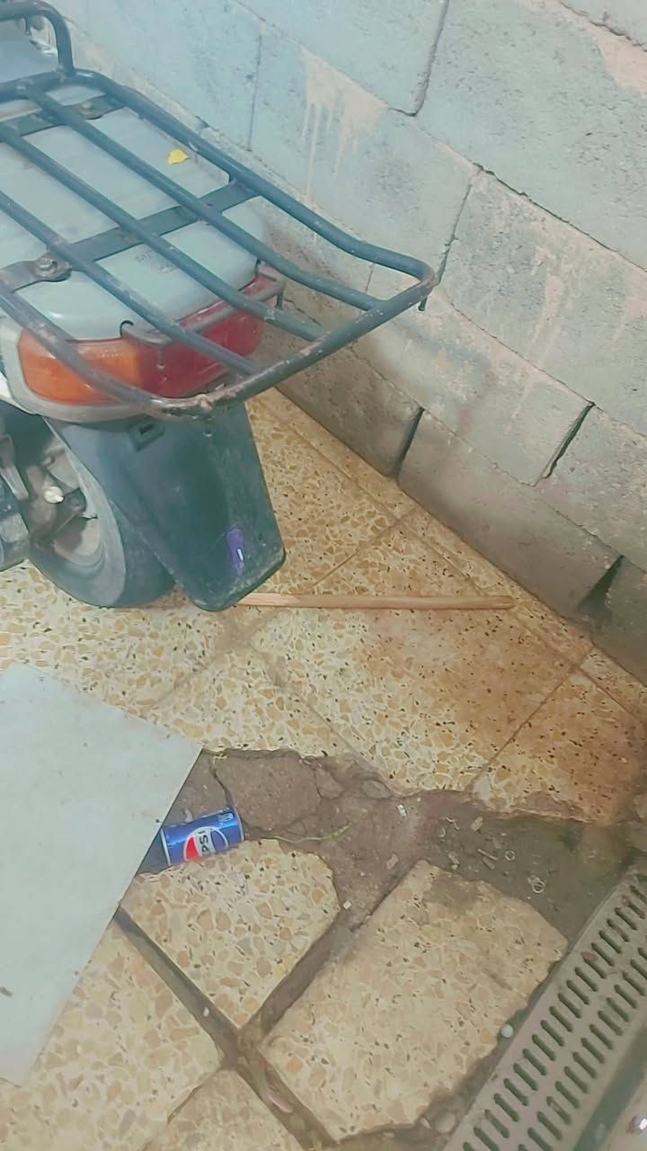 بيكم • مكفوله • سلف كهربا