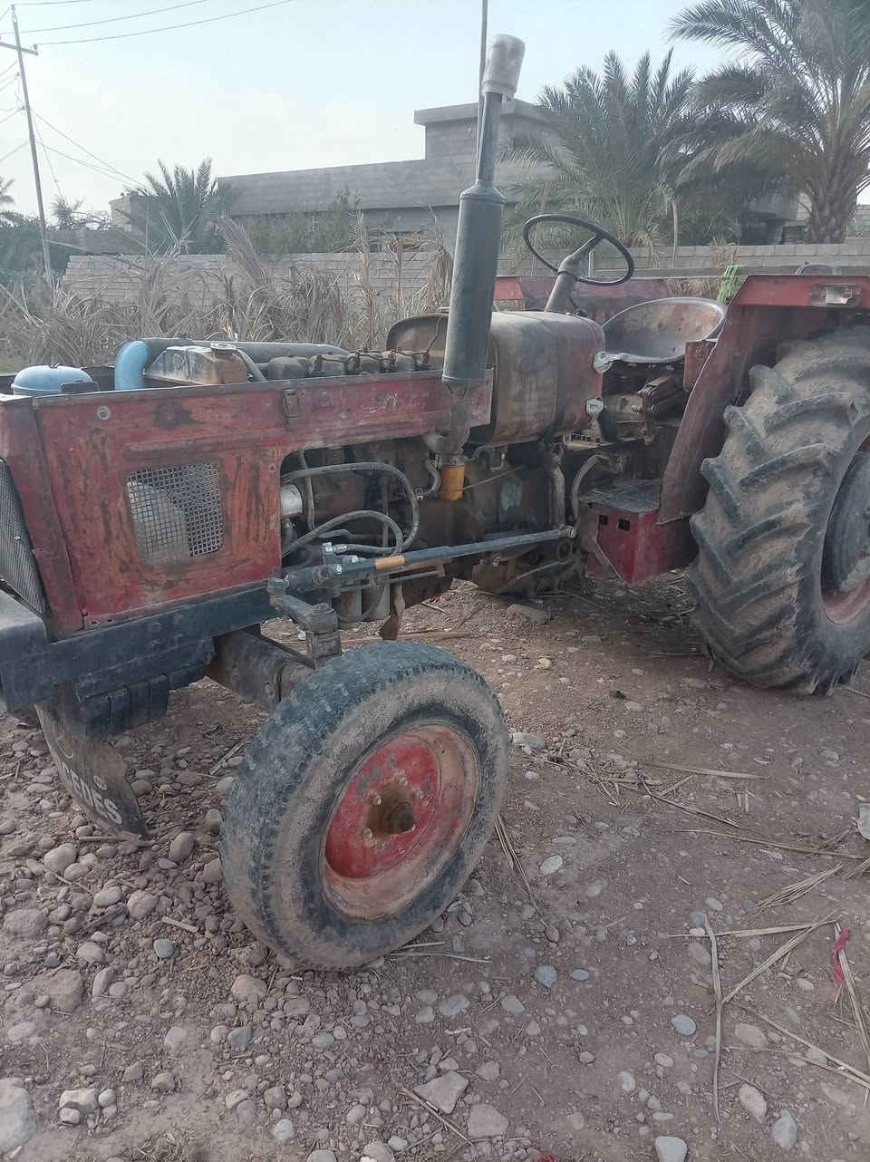 عنتر ٧١ • مكينه جاهزه • ديالى السعديه
