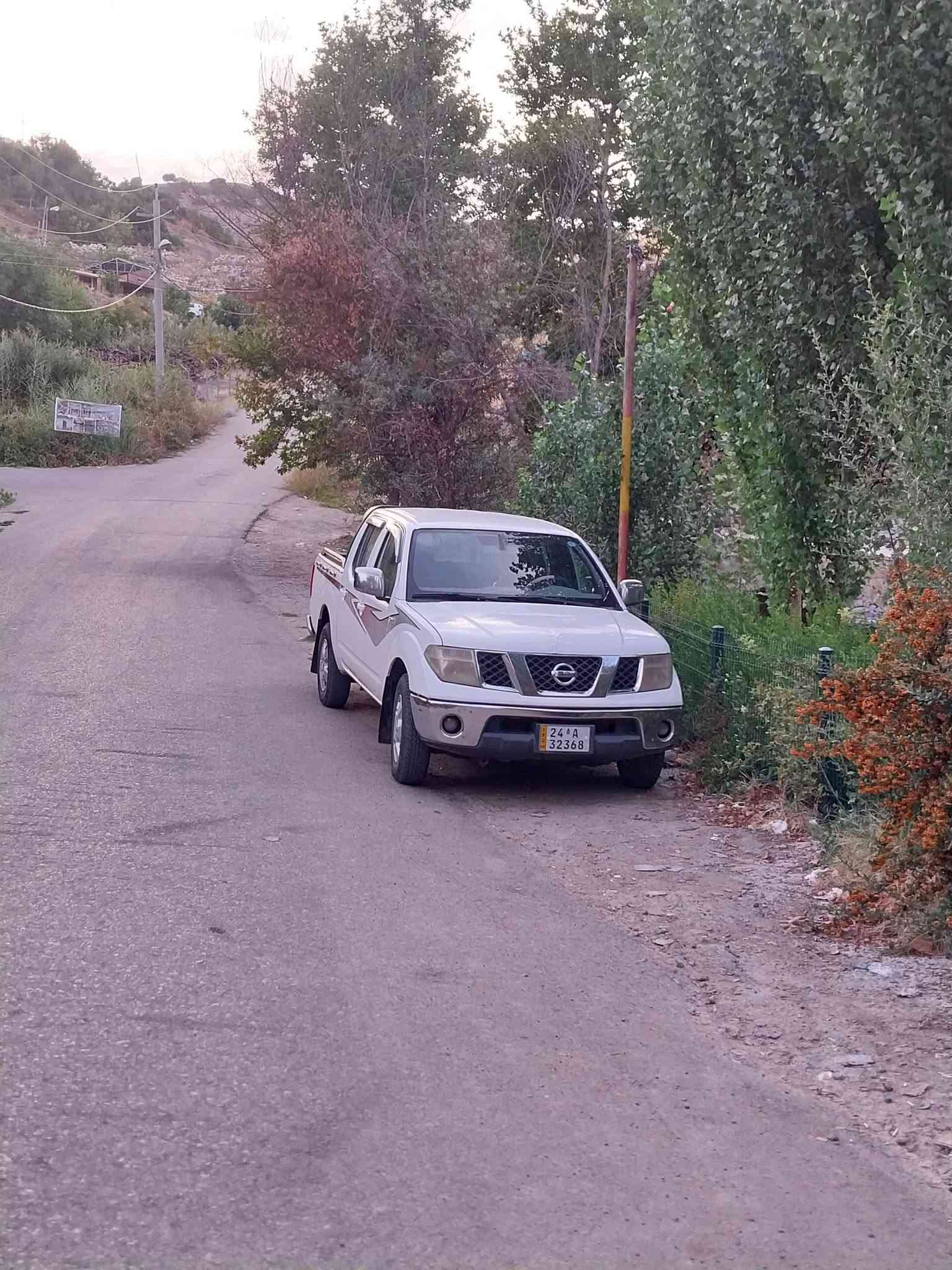 بيكم فلاونزة • ٢٠١٠ • وكالة
