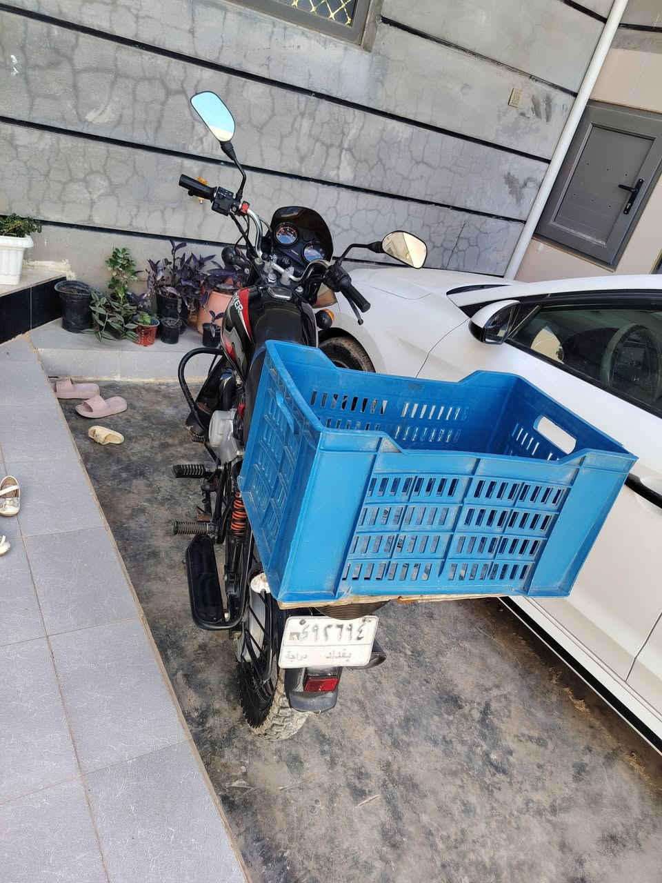 بوكسر • ٢٠٢٣ • بغداد