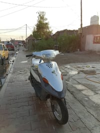 بيجي • معدل فول • سلف