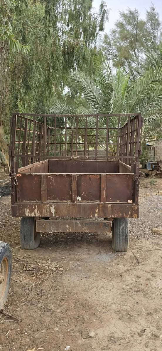 عربانه • فيه مجال • ديالى كنعان