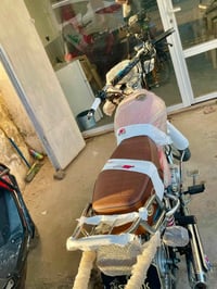 ٢٠٢٤ • برتقالية • كفالة عامة
