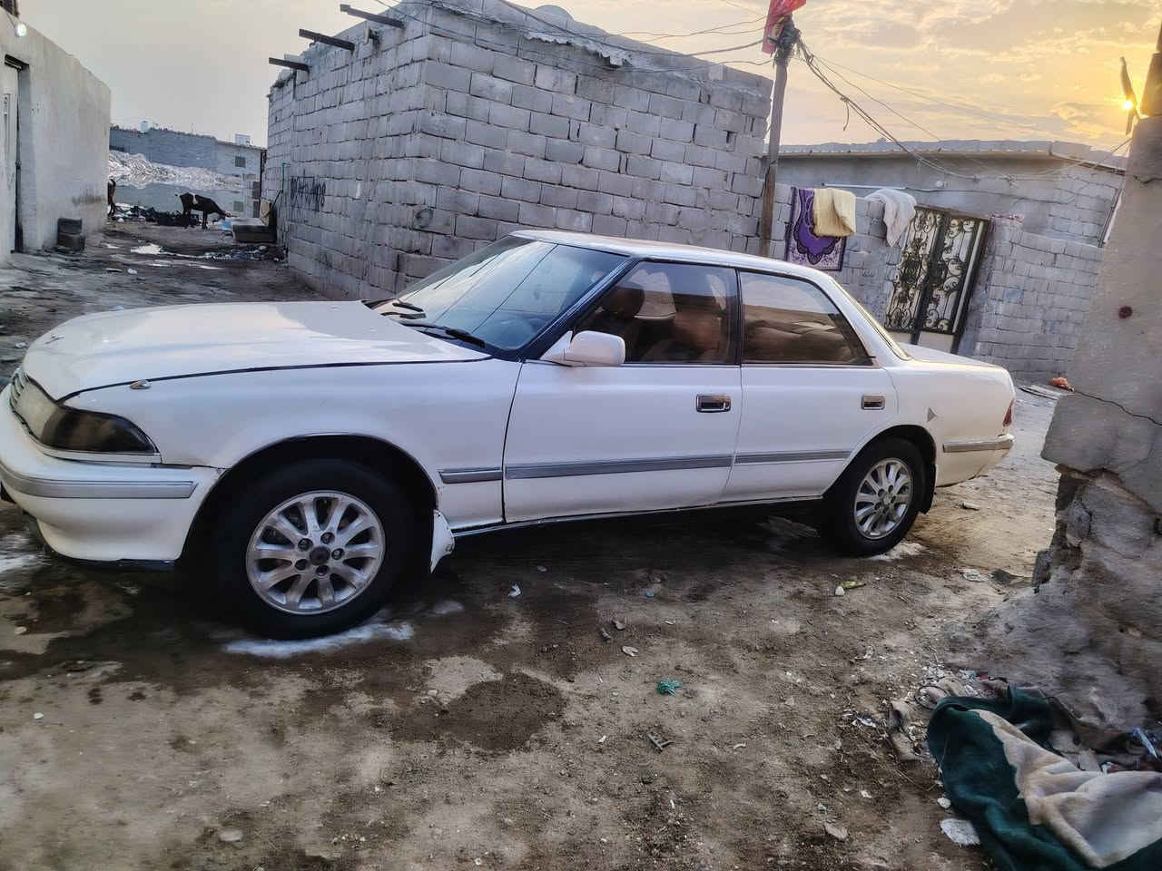 تفاصيل داخل منشور
