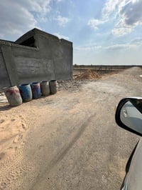 أرض • بسيف سعد • ٣١٠م