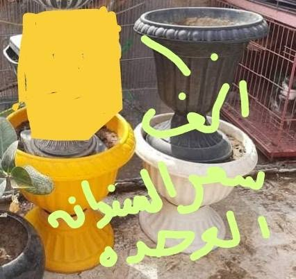 مكتوب بالصور • رقم تواصل • بدون تفاصيل