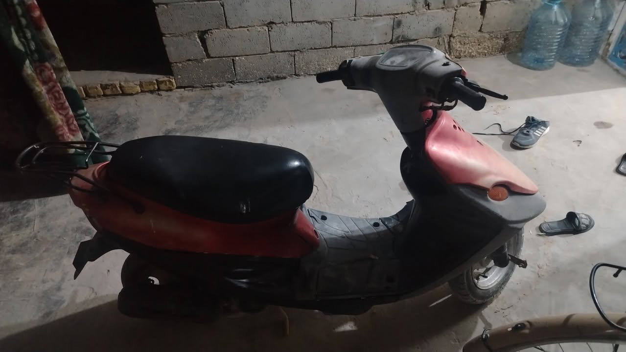 لايت شاير • سلف • ضوه كدام
