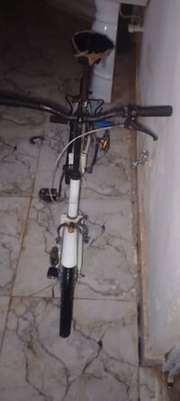 باسكل • ابو الطبكه • نضيف