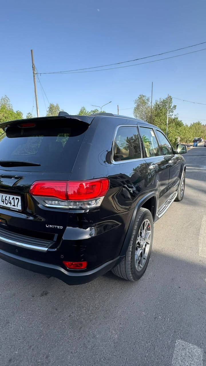 جيب • ٢٠١٩ • بدون صبغ