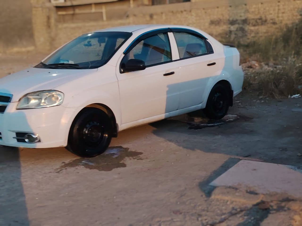 أفيو خليجي • ٢٠١١ • رقم واسط