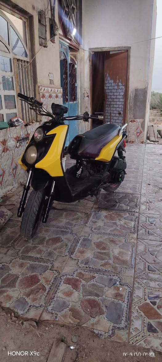 سكنس جبلي • زنجيل • كلجات رياضي