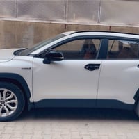 فروت لاندر • ٢٠٢٤ • هايبرد