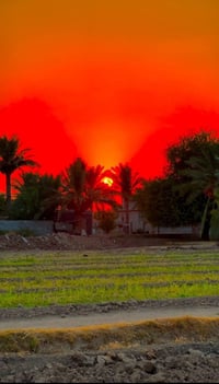 اليوسفية بغداد • دونمين • طابو سند ٢٥
