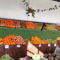 كربلاء • حي الوفاء