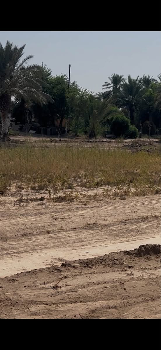 تحيه طيبه ع جميع

ارض زراعيه للبيع المساحه 5دونم 

تبعد عن الشارع العام ٣٠٠متر

موقع الارض قرب سيطرة الج 

صنف الارض طابو زراعي 

بأسمي شخصيا 

يقع داخل الارض نهر جاري رسمي وبنهايت الارض ايضاً نهر مبطن وكامل الخدمات 

للاستعلام يرجى التواصل على الأرقام التالية 

***********

***********
