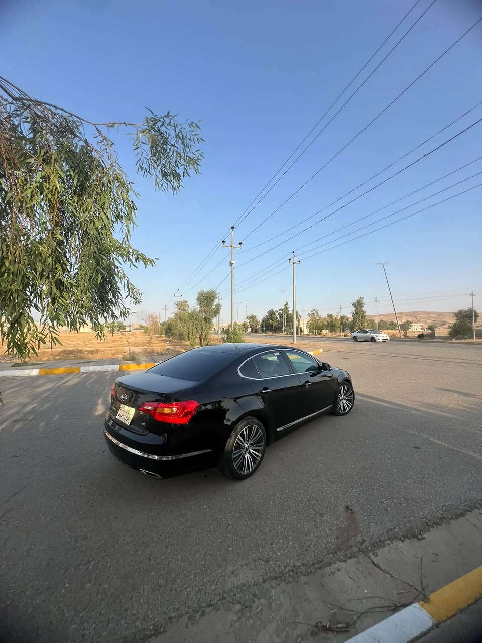 كدنزا فول • ٢٠١٢ • بانوراما
