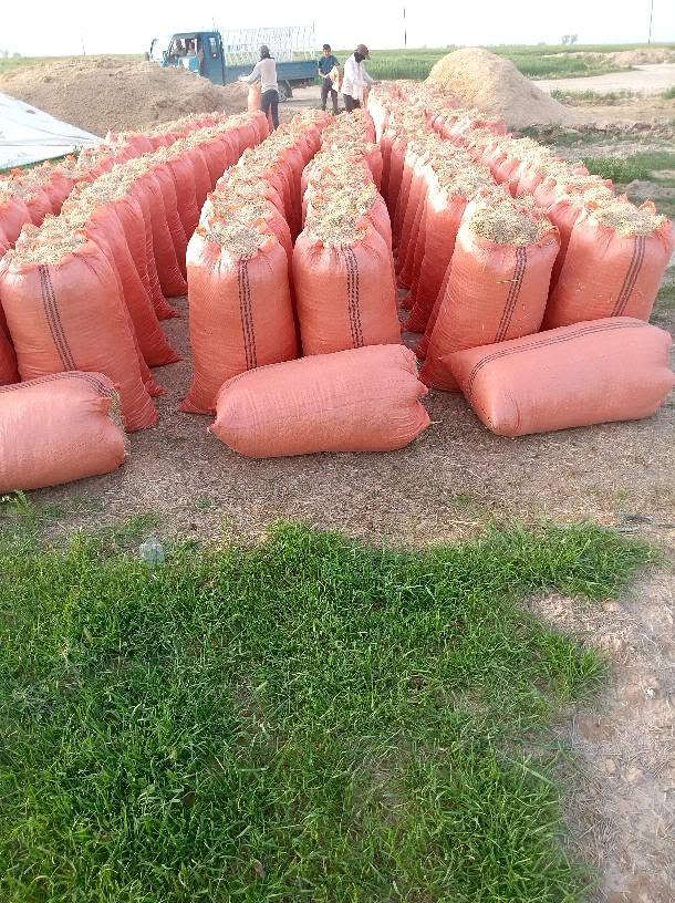 السلام عليكم تبن للبيع حجم الكيس أبو 65 سعر الزوج مطروح بالمكان 3500 ويوجد خدمه توصيل محافظات صلاح الدين بغداد الأنبار ديالى   التواصل مراسلة الصفحه على المازنجر أو الواتساب أو الاتصال على الرقم  ***********   ***********
