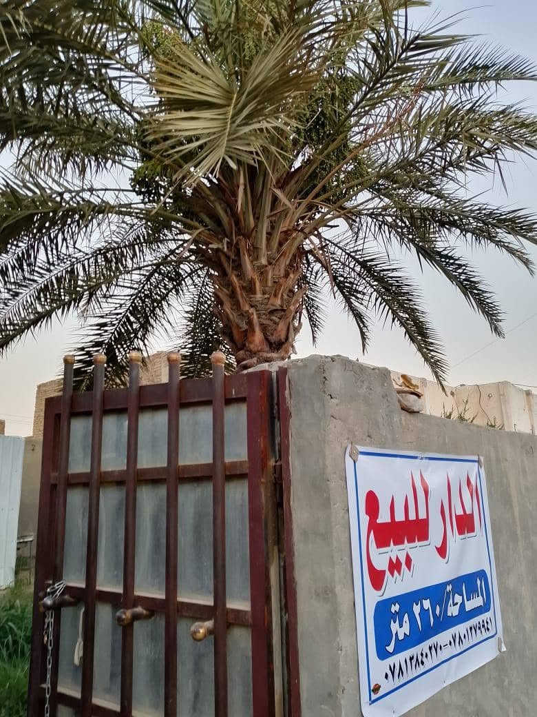السلام عليكم بيت مساحه ٢٦٠ متر طابو صرف الموقع حي العسكري شارع عباس حنون علمأ البناء غرفتين ومطبخ ومجمع صحيات الاتصال على الرقم التالي  ***********اتصل. وتدلل
