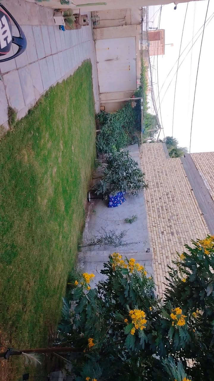قرب فائز الزيادي • ٢٠٠م • طابو