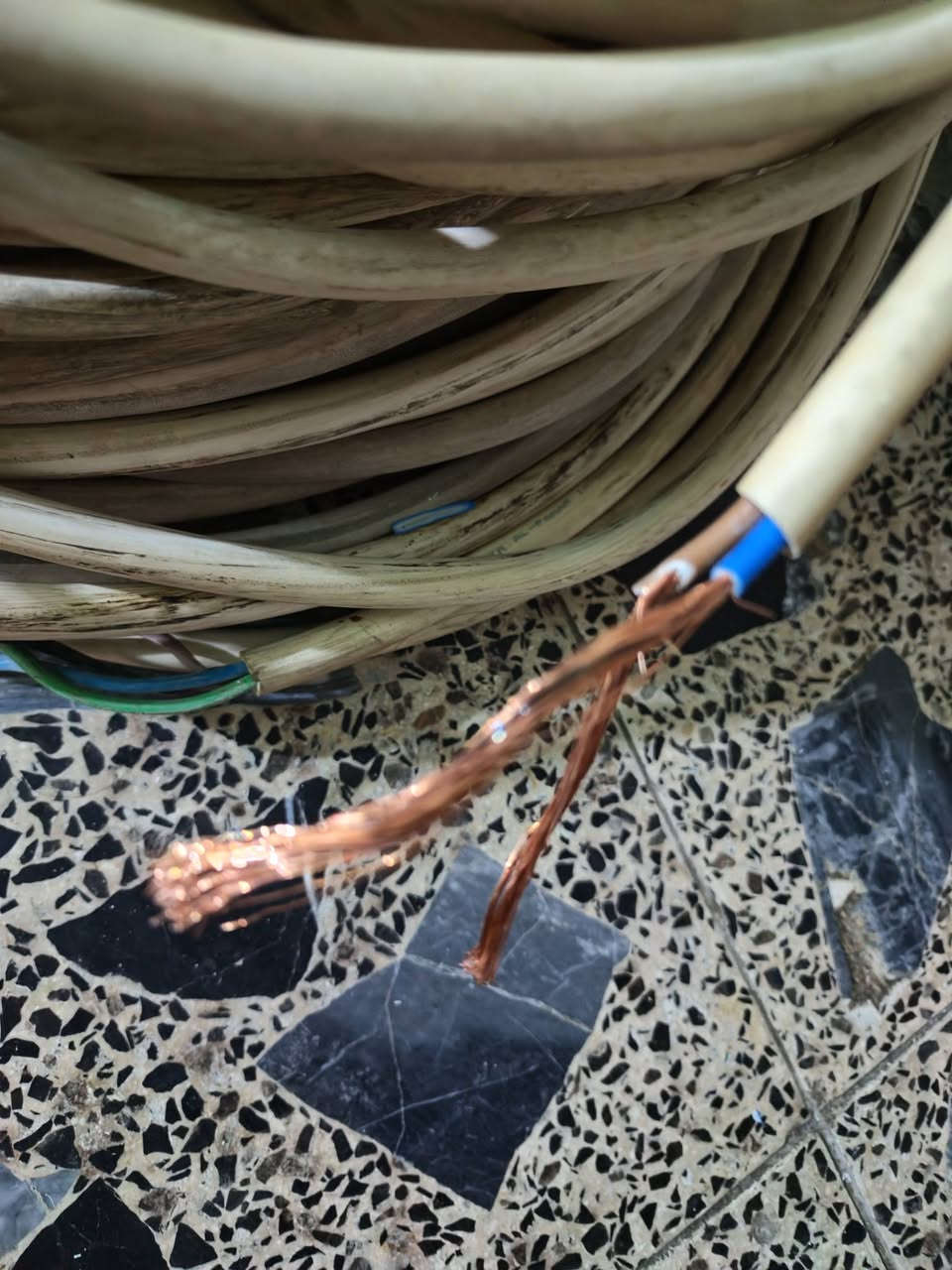 2× 4 فلكس المتحده اردني الاصلي 
عندي 20متر. 20 متر. 10 متر. 30متر 

4×2.5فلكس   35متر 
للتواصل ***********.  مكاني بغداد الشعب
