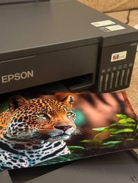 Epson L18050 • A3+ • نضافة ٩٩٪