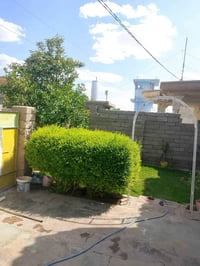 قرية جديده بيجي • ٣٠٠م • ٣ مطابخ