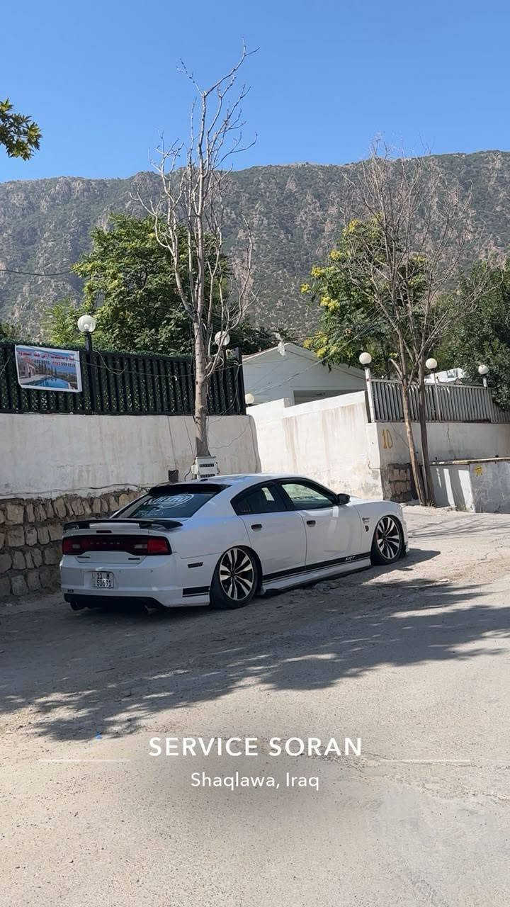 السلام عليكم جارجر 8سلندر2014  srt فول مواصفات مأويه سلايت بصمه شاشه كبيره كير طياره كشافات صالنصات خلفيه رياضيه صالنصه كاتم نضام  بيئه جكات مجول امريكيه سياره جاهز مبيهه اي نقص حادثهه جاملغ وبنيدكشنات جلد وكهرباء السعر 150للاستفسار ***********
