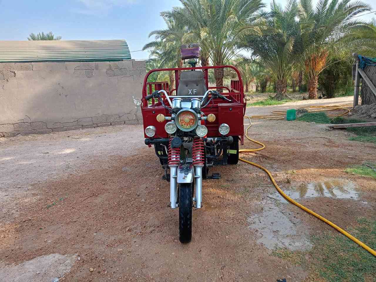 ستوتة • جمره فحل • ٢٠٢٢