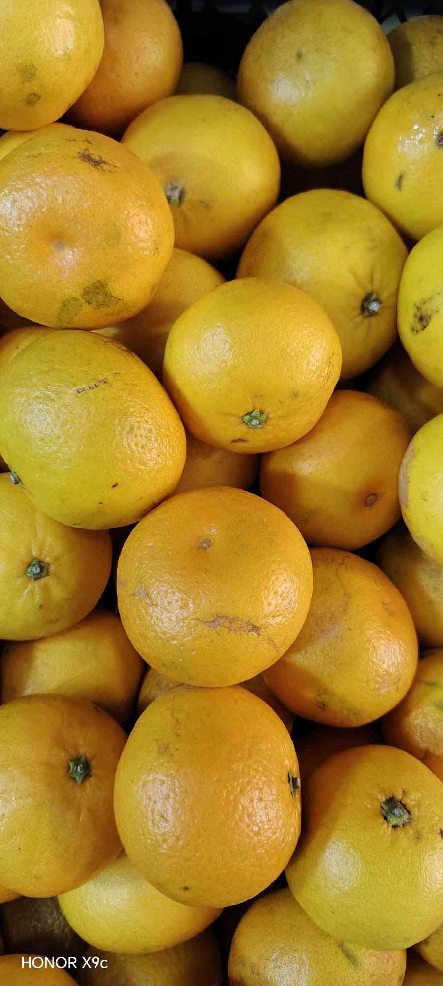 خضار وفواكه • متنوع • طازج