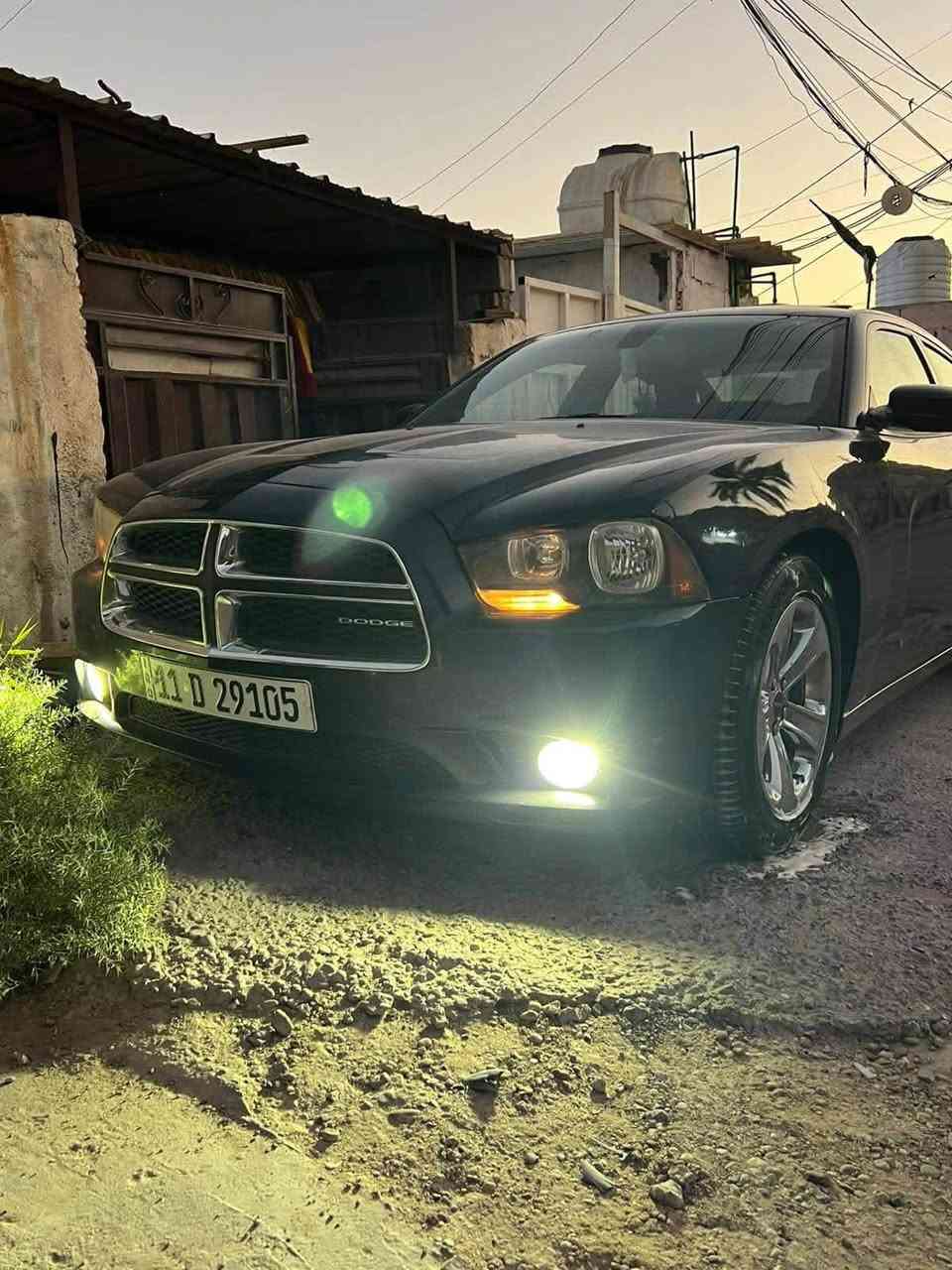 للبيع أو المراوس أجرجر 11خليجي فول مواصفات للأخير  جاهزه من الطول للطول ***********اتصل لاستفسار
