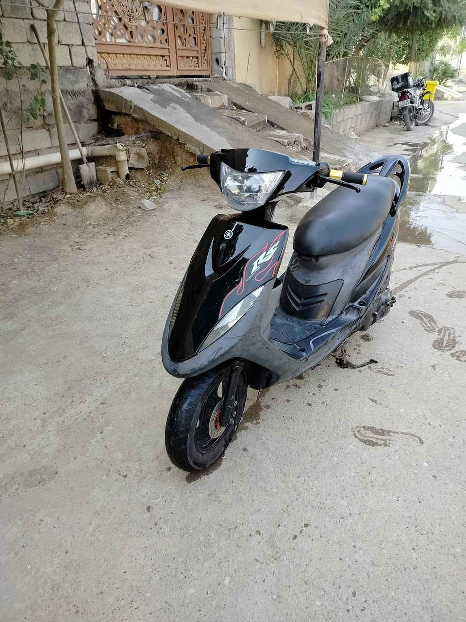 ماكس عدلة • كاملة • بوشة بلادية ٤٩