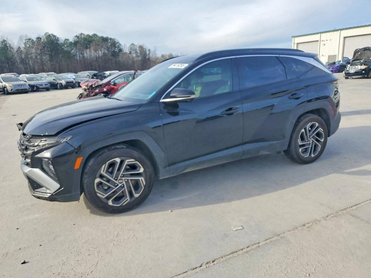 ! للبيع Hyundai Tucson Limeted2025
فوول مواصفات أعلى فئة بالتوسان بانزين.  ما يصير بيها  لآسمكرة ولآ صبغ فقط شد الغراض المكسورة...وتطبيگ باب وچاملغ.. لون بلاك أسود شذري وداخل جلد أبيض أوف وايت المرغوب ماشية ٢٣ ميل حقيقي.سيارةتشتغل وتمشي من أمريكاتباع على حالها بدون تصليح.بدون رقم..السعر192ورقة.. 
 تترقم بجميع المحافظات عدا كردستان..
السيارة معروضة بمكتب شركة الجود للمزادات الامريكية لأستيراد ألسيارات وقطع ألغيار  
...للأستفسار.العنوان بغداد حي القاهرة شارع الضباط مقابل حسينية آل الرسول تلفون أو واتساب ***********
