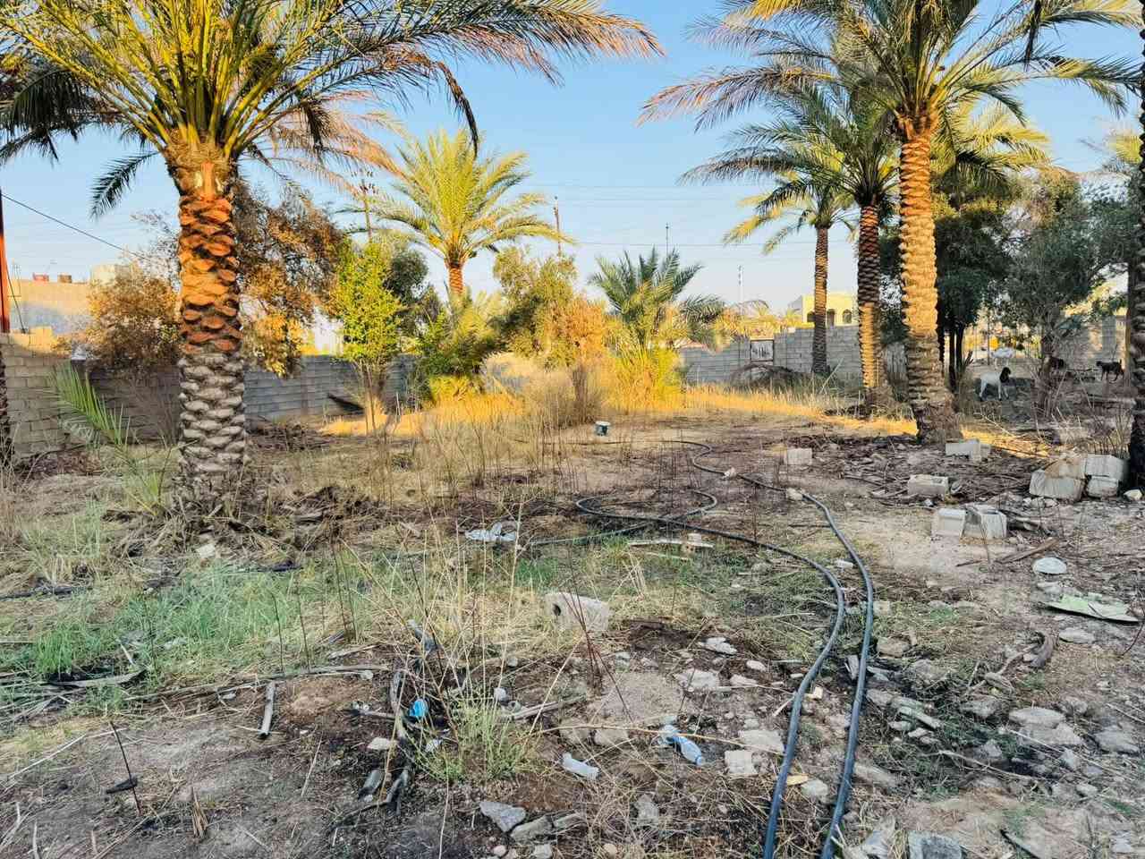 السلام عليكم عندي قطعه ارض واجهتها ١٣ والنزال ٤٠ قطعه تجاري على طريق بغداد الخالص في منطقة الغالبيه للاستفسار *********** أو ***********
