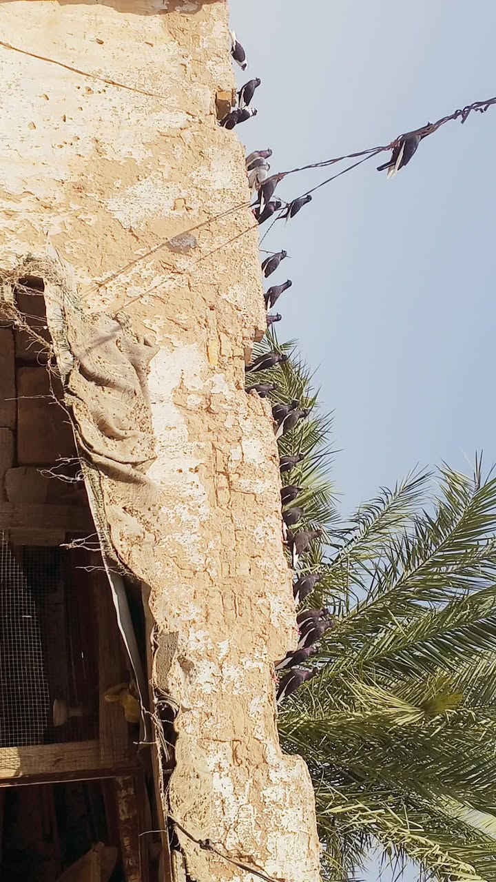 سلام عليكم متاح شوامل بسود العدد 11زوج العنوان ديالى قضاء بلدروز السعر الزوج15 وبي مجال والشراي ينتصل على هاذة الرقم ***********
